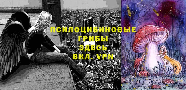 Альфа ПВП Коряжма