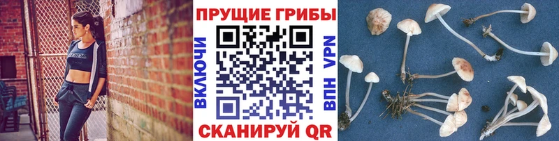 Галлюциногенные грибы MAGIC MUSHROOMS что такое darknet клад Спас-Клепики